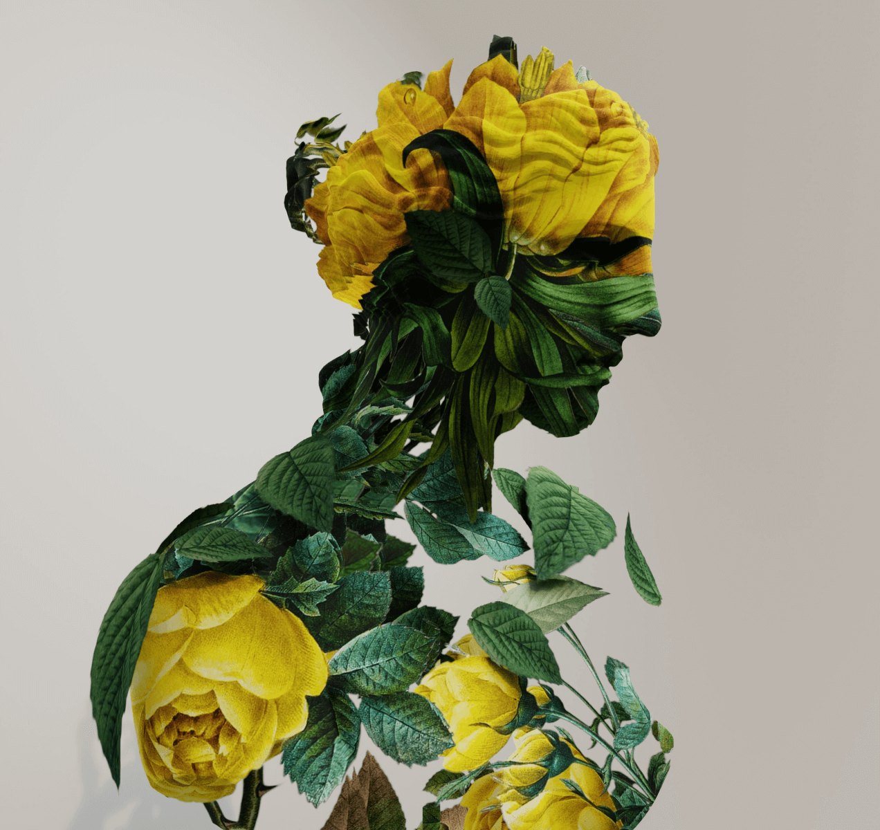 protfolio01 2
